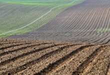 agricultores
