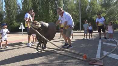 campamento toro enmaromado