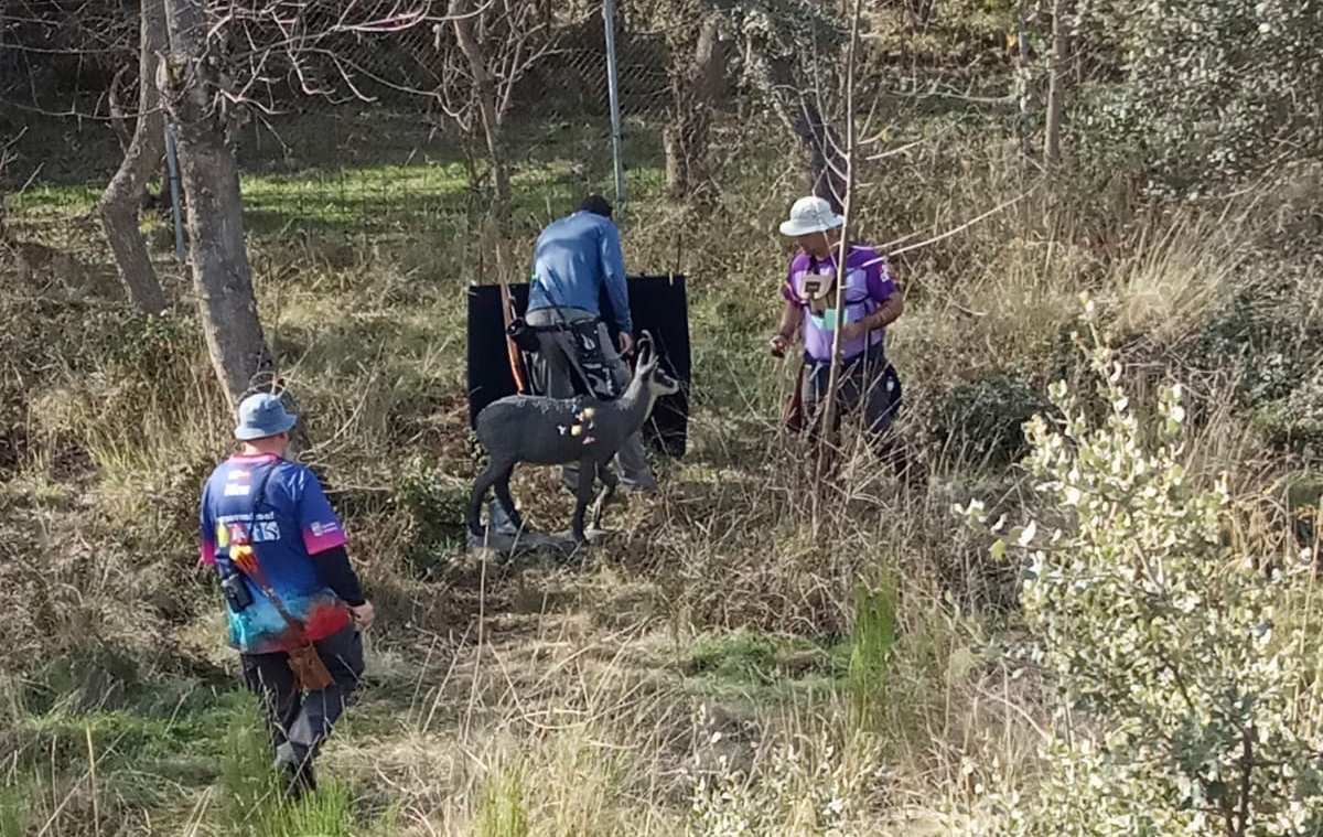 Recorrido en Martínherrero