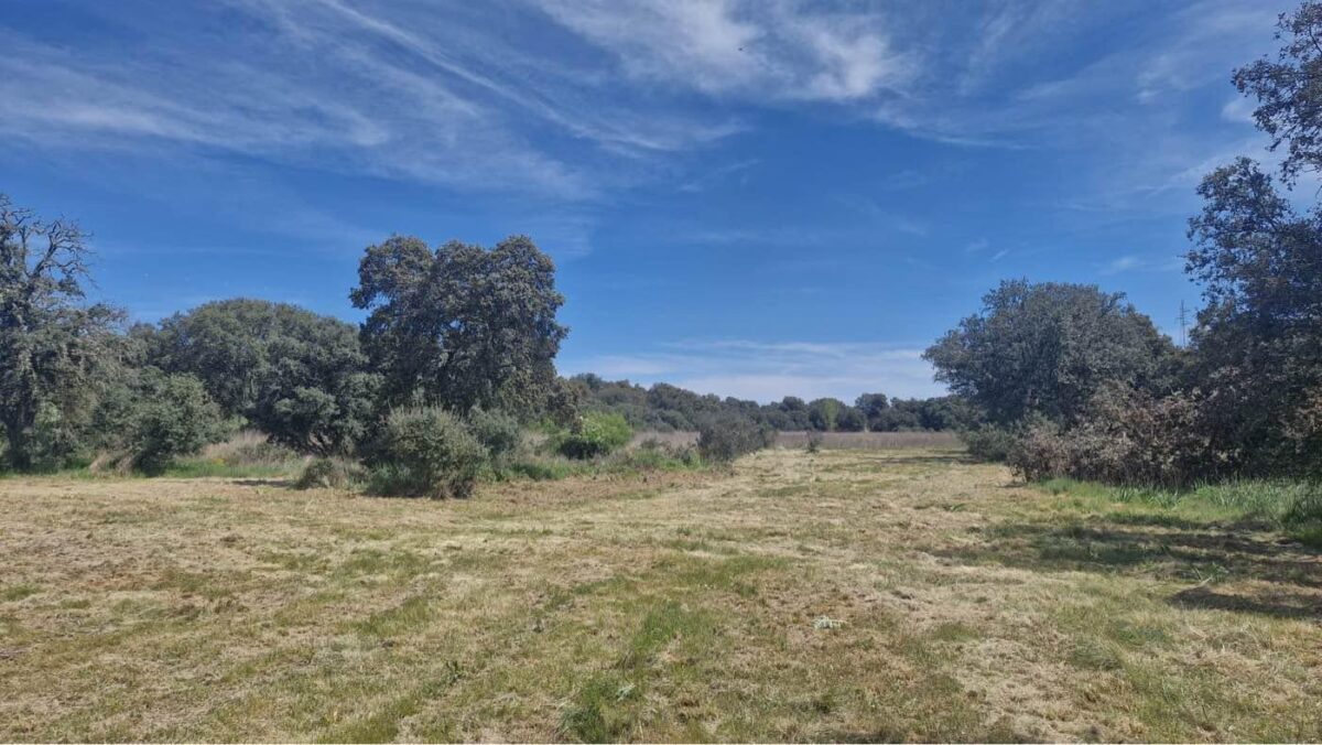Campo de entrenamiento del Mosteruelo
