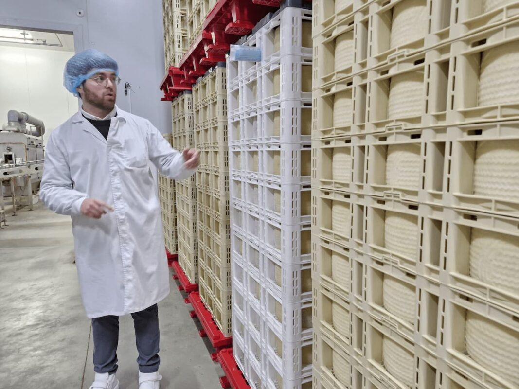 queso Ciudad de Sansueña