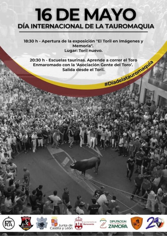 Día Tauromaquia
