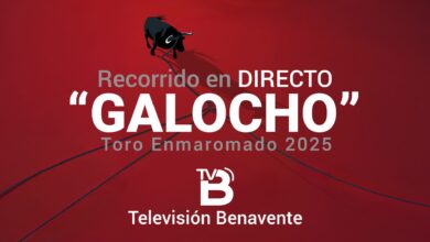 Directo Toro Enmaromado